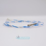 2-ICANCLAVE-czujnik-temperatury-wytwornicy-pary autoklawu s1 .jpg