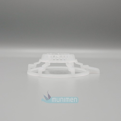 Sitko-spluwaczki-(filtr)Stern Weber-Anthos .jpg