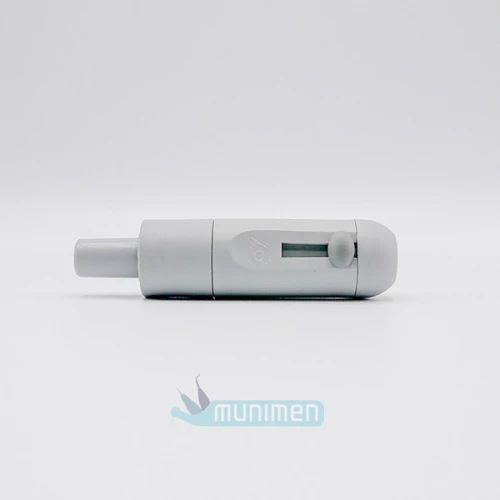 Rękojeść małego ssaka Cattani (Terminal) .webp