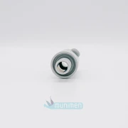 Rękojeść małego ssaka Cattani (Terminal) 1.webp