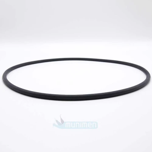 uszczelka drzwi autoklawu cominox.webp